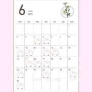 ヒメ日記 2025/05/29 20:12 投稿 Koyuri PROPORTION