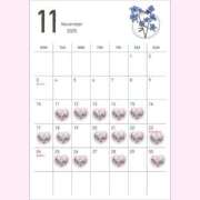 Koyuri ?11月のスケジュールとご案内? PROPORTION