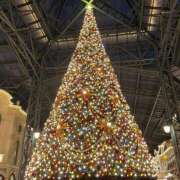 ヒメ日記 2025/12/10 21:25 投稿 Koyuri PROPORTION