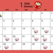 Koyuri 1月のスケジュール PROPORTION