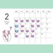 ヒメ日記 2026/01/30 15:41 投稿 Koyuri PROPORTION