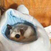 ヒメ日記 2025/03/07 11:23 投稿 すずか Queen Angel(クイーンエンジェル)