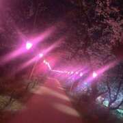 ヒメ日記 2025/04/05 18:03 投稿 らんか Hip's-group越谷本店