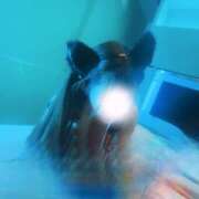 ヒメ日記 2025/09/16 14:02 投稿 らんか Hip's-group越谷本店