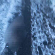 ヒメ日記 2026/01/04 12:03 投稿 らんか Hip's-group越谷本店