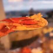 ヒメ日記 2026/03/19 20:02 投稿 らんか Hip's-group越谷本店