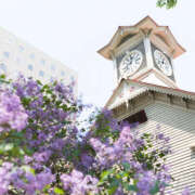 ヒメ日記 2025/05/20 17:39 投稿 かずは ハピネス札幌