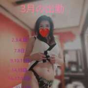 ヒメ日記 2025/03/01 17:14 投稿 朝香いろは プレジデントハウス