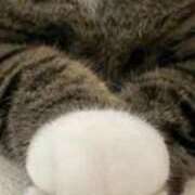 ヒメ日記 2025/04/15 10:06 投稿 朝香いろは プレジデントハウス