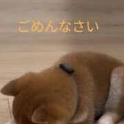 ヒメ日記 2025/05/08 08:38 投稿 朝香いろは プレジデントハウス