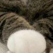 ヒメ日記 2025/06/06 07:53 投稿 朝香いろは プレジデントハウス