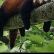 ヒメ日記 2025/07/21 08:49 投稿 朝香いろは プレジデントハウス