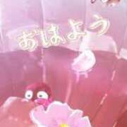 ヒメ日記 2024/09/15 12:00 投稿 Mrs.すずか 禁断のMrs.CLUB