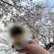 ヒメ日記 2026/03/31 20:18 投稿 深澤(ふかざわ) 八王子人妻城