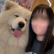 深澤(ふかざわ) わんわん🐶 八王子人妻城