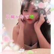 ヒメ日記 2025/01/01 21:00 投稿 片桐かなで シャトーペトラ