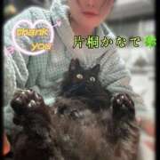 ヒメ日記 2025/01/04 22:50 投稿 片桐かなで シャトーペトラ