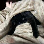 ヒメ日記 2025/01/15 00:51 投稿 片桐かなで シャトーペトラ