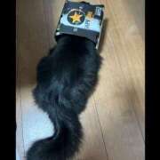 ヒメ日記 2025/05/08 00:42 投稿 片桐かなで シャトーペトラ