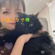 ヒメ日記 2025/08/05 00:54 投稿 片桐かなで シャトーペトラ