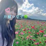 ヒメ日記 2025/08/09 22:33 投稿 片桐かなで シャトーペトラ