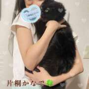 ヒメ日記 2025/09/12 06:02 投稿 片桐かなで シャトーペトラ