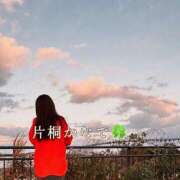 ヒメ日記 2025/11/17 00:19 投稿 片桐かなで シャトーペトラ