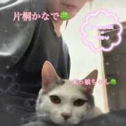 ヒメ日記 2026/01/07 00:06 投稿 片桐かなで シャトーペトラ