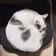 ヒメ日記 2026/02/07 05:02 投稿 片桐かなで シャトーペトラ