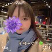 ヒメ日記 2026/02/11 08:33 投稿 片桐かなで シャトーペトラ