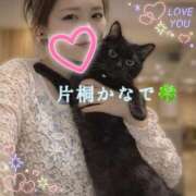 ヒメ日記 2026/04/09 00:29 投稿 片桐かなで シャトーペトラ