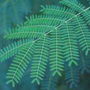 うた [お題]from:どこでも寝れるさん 出会い系人妻ネットワーク さいたま～大宮編