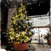 ヒメ日記 2024/12/22 08:40 投稿 れい 風鈴（ふうりん）