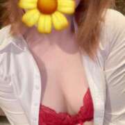 ヒメ日記 2025/05/21 01:24 投稿 ミイ秘書 秘書の品格 クラブアッシュ ヴァリエ