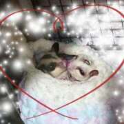 ヒメ日記 2025/02/21 11:08 投稿 萌絵(もえ) 熟女出逢い会『百合の園』目黒店