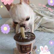 ヒメ日記 2025/07/11 13:28 投稿 萌絵(もえ) 熟女出逢い会『百合の園』目黒店