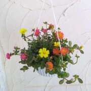 ヒメ日記 2025/08/22 11:58 投稿 萌絵(もえ) 熟女出逢い会『百合の園』目黒店