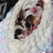 ヒメ日記 2025/10/27 11:48 投稿 萌絵(もえ) 熟女出逢い会『百合の園』目黒店