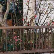 萌絵(もえ) 雀かと思ったら🐥 熟女出逢い会『百合の園』目黒店