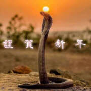 ヒメ日記 2025/01/04 09:50 投稿 りんこ 性腺熟女100％（デリヘル市場）