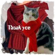 ヒメ日記 2025/01/12 23:05 投稿 りんこ 性腺熟女100％（デリヘル市場）