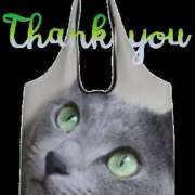 ヒメ日記 2025/03/03 18:14 投稿 りんこ 性腺熟女100％（デリヘル市場）