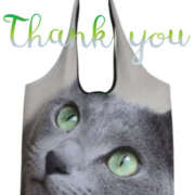 ヒメ日記 2025/03/03 18:23 投稿 りんこ 性腺熟女100％（デリヘル市場）