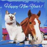 ヒメ日記 2026/01/01 18:43 投稿 りんこ 性腺熟女100％本店（デリヘル市場）