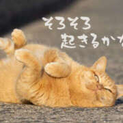 ヒメ日記 2026/03/13 13:25 投稿 りんこ 性腺熟女100％（デリヘル市場）