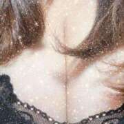 ヒメ日記 2025/02/05 19:30 投稿 ゆうこ 丸妻 新横浜店