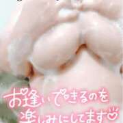 ヒメ日記 2025/04/25 12:59 投稿 茂木 BBW（ビッグビューティフルウーマン）