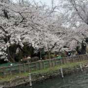 ヒメ日記 2025/05/09 15:31 投稿 サラ マテリアル