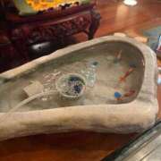 ヒメ日記 2025/05/21 18:16 投稿 サラ マテリアル