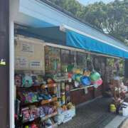 ヒメ日記 2025/08/16 13:31 投稿 サラ マテリアル